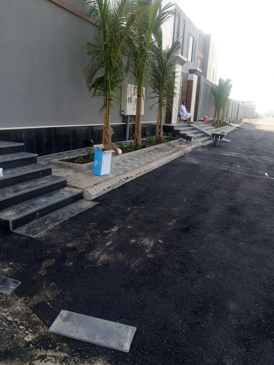 زراعة واسفلت <a href="/bella_rose30092/">مشتل Bella Rose</a>