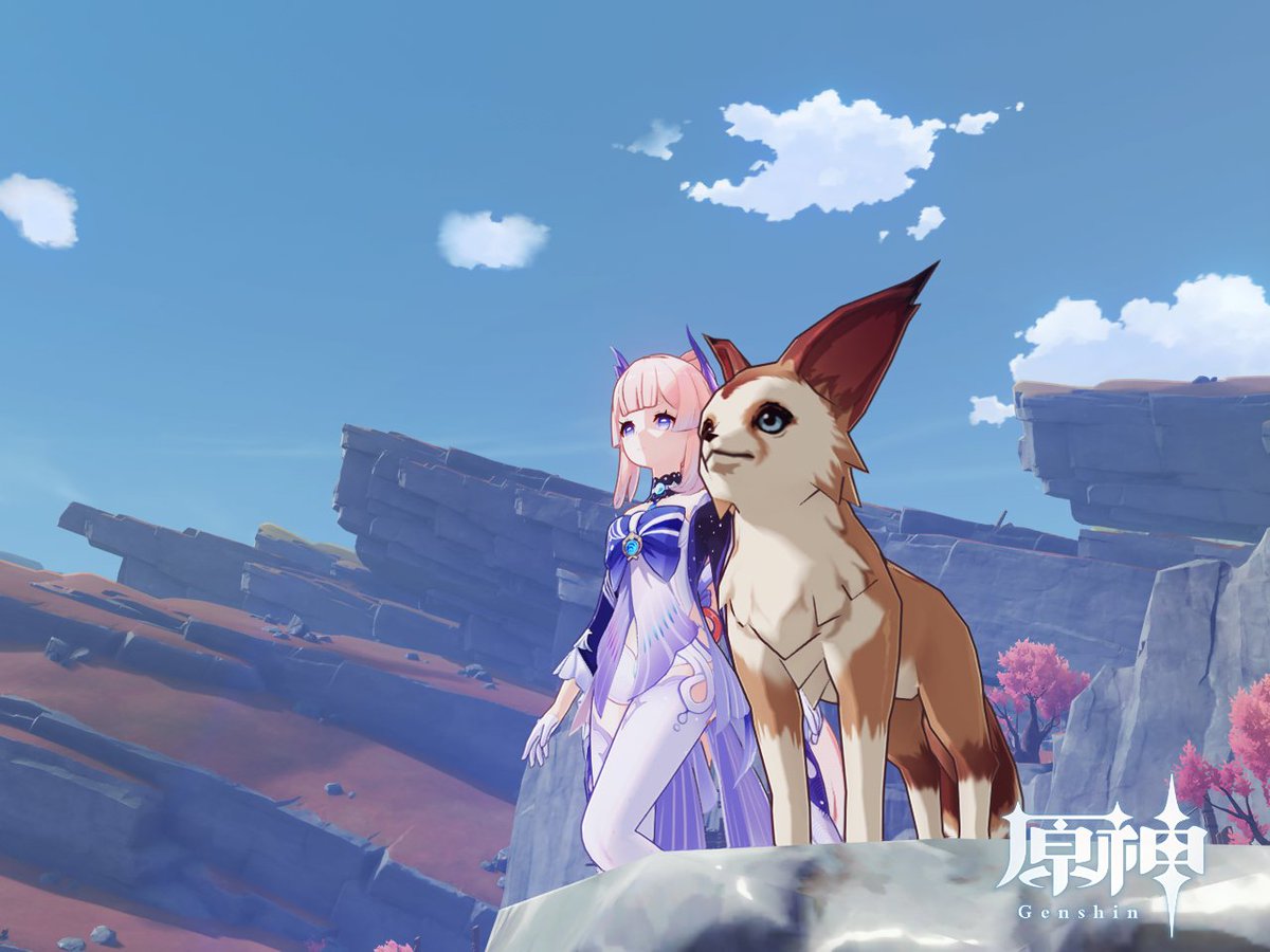 Sangonomiya553's tweet image. kokomisan with Nightcall
#SharedSight
#アニマルビジョン