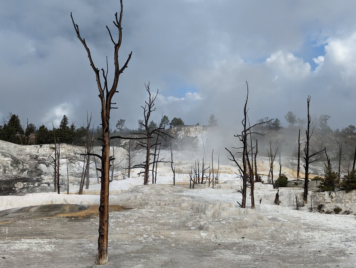 Yellowstone is unreal