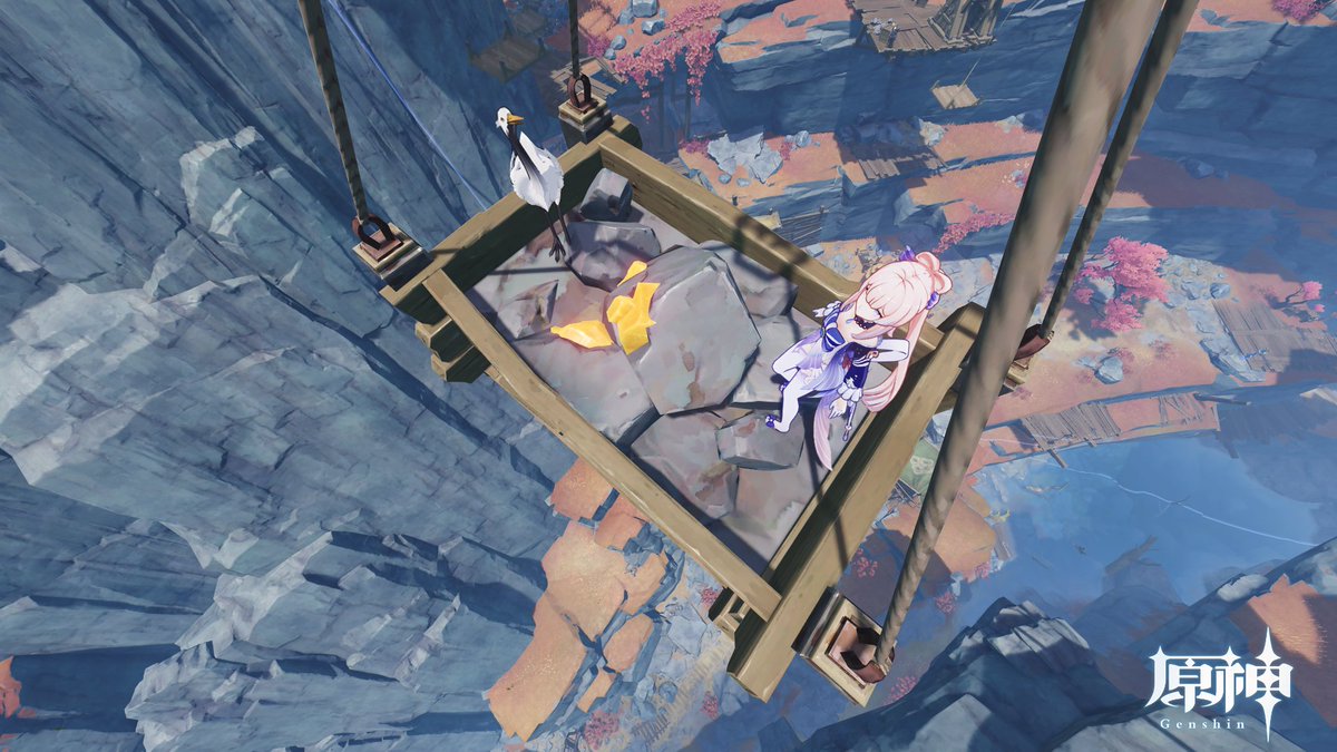 Sangonomiya553's tweet image. kokomisan with Bottle Pecker
#SharedSight
#アニマルビジョン