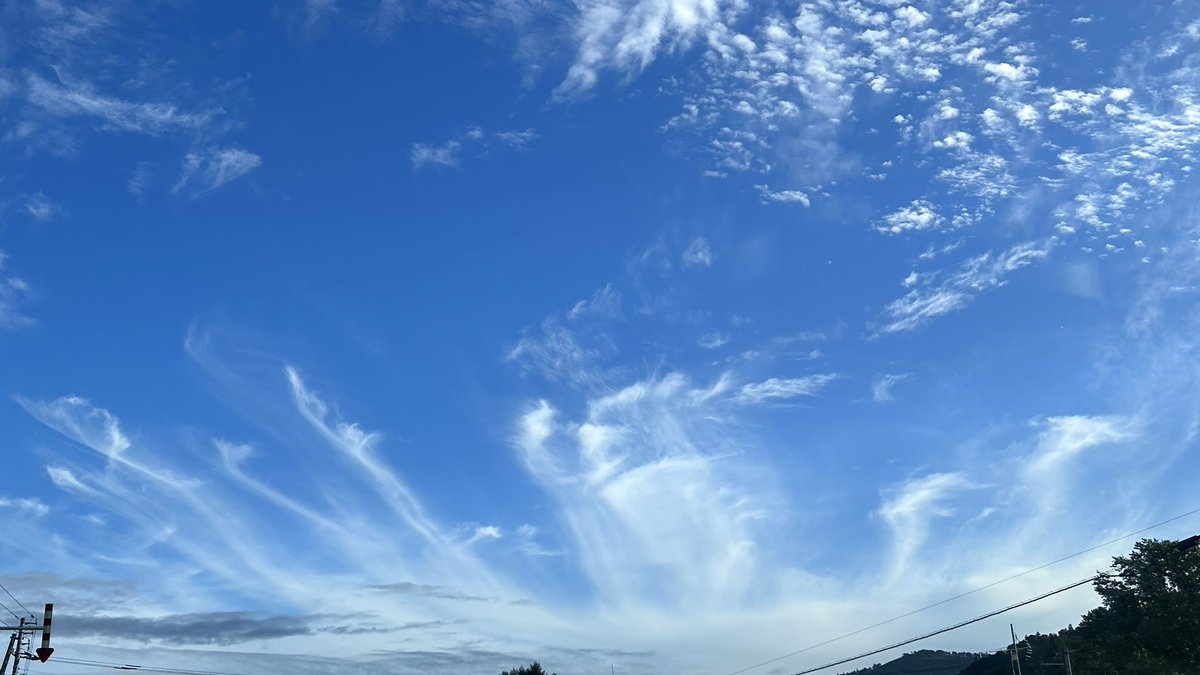 shingoomura's tweet photo. 北海道、道北の稚内から猿払経由で剣淵へ行く途中。

音威子府(おといねっぷ)のあたりでみた雲。
九頭竜ならぬ九頭の鳳凰にみえる。
吉兆だな！ https://t.co/Zz2YCWhKxF