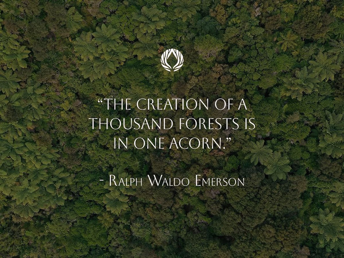 Even the smallest actions, like that of a seed sprouting, have the potential and power to transform into something magnificent. 🌱  #alwaysbeplanting #biometrust #ralphwaldoemerson
