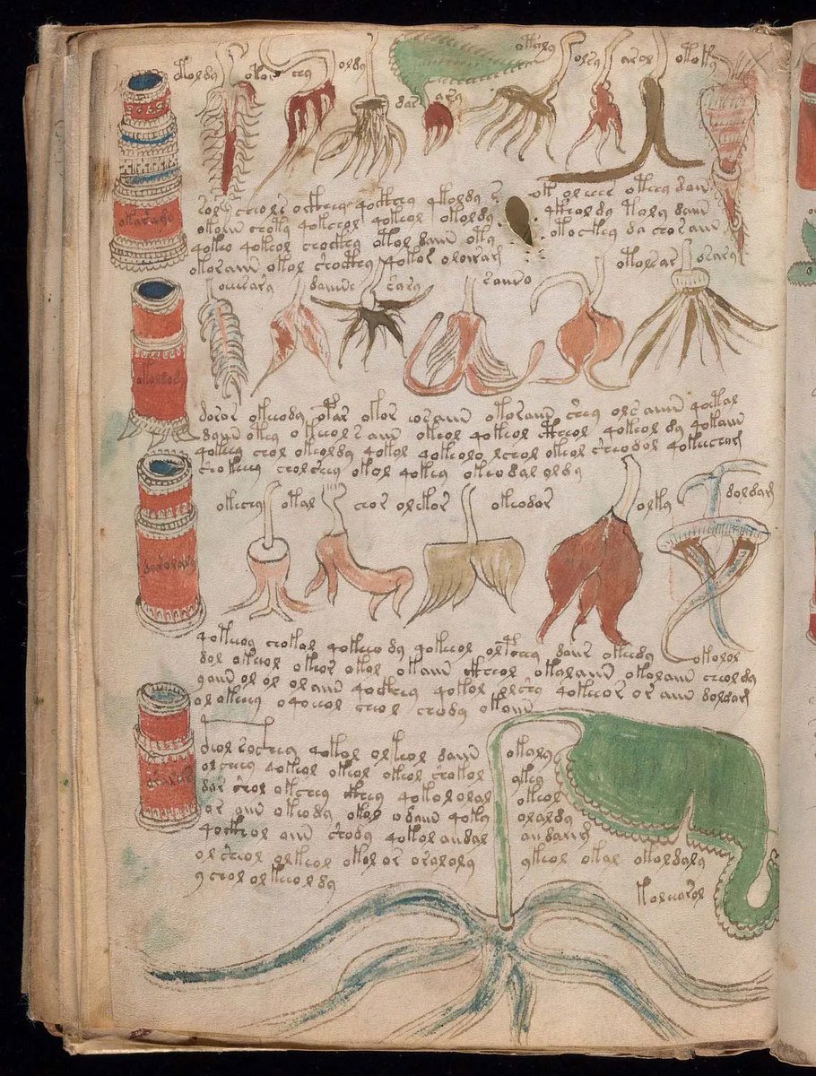 allenanalysis's tweet photo. The Voynich Manuscript

The Voynich manuscript, a 600-year-old codex, has perplexed observers since its discovery. Filled with perplexing plant diagrams and an indecipherable script, it has resisted the efforts of codebreakers, researchers, and even advanced computer algorithms. 

Some experts propose it's a ciphered text with anagrams in an archaic language. Is it an otherworldly guide to alien plants, a treatise on dark magic, or an intricate prank? The truth remains a tantalizing mystery that may forever elude our grasp.