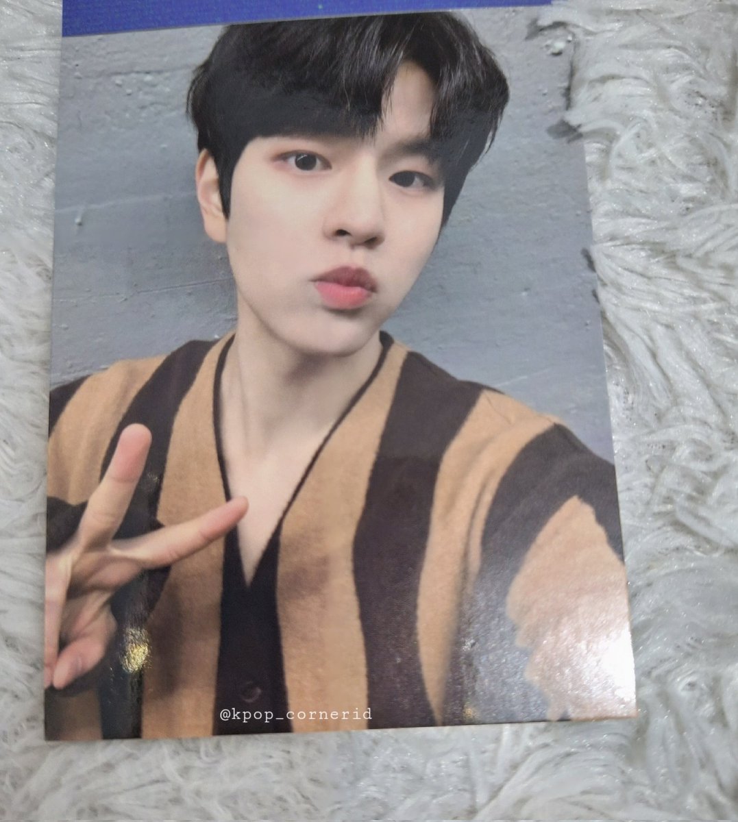 kpop_cornerid's tweet photo. WTS POB STRAYKIDS NOEASY ALBUM-MINI PHOTOBOOK 

Seungmin set/satuan

Ready Stock, CO link: https://t.co/LMURYJnmpX
Dikirim dr JKT, freebies + packing aman

t. POB #STRAYKIDS NOEASY PC Photocard #BangChan #Leeknow #Changbin #Hyunjin #Han #Felix #Seungmin #I_N #wts #kpop #photocard https://t.co/MXXnZNFcES
