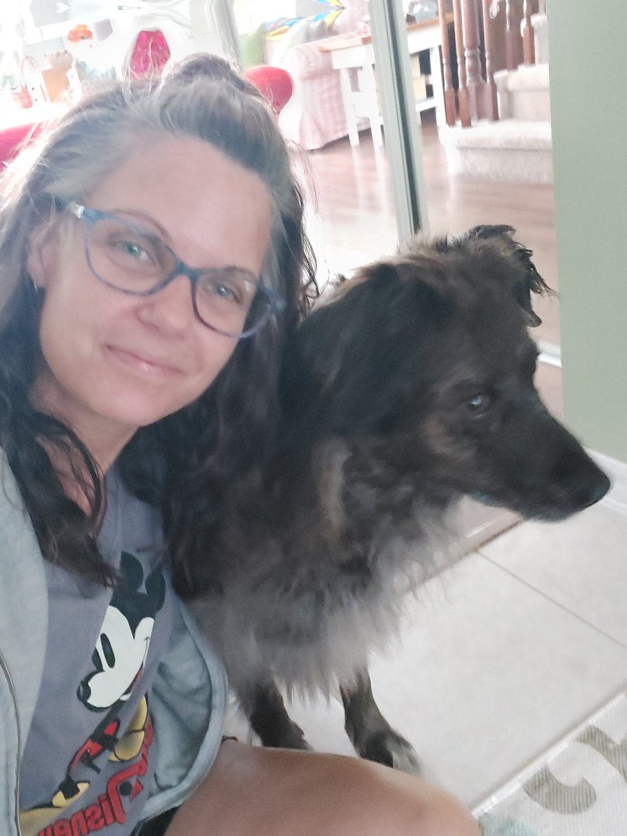 buttenhole's tweet photo. Someone is not happy mama is away for a few days #maddog #saddog #minivaycay #sherkstonshores #parentsniecesister #Mondayvibes #MondayMood https://t.co/trvtSKd9cl