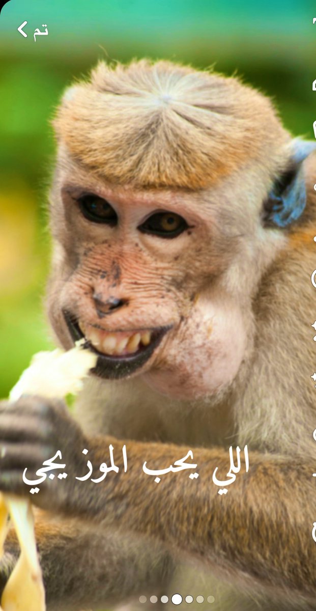 عبدالعزيز (@ajsahhhh) on Twitter photo 