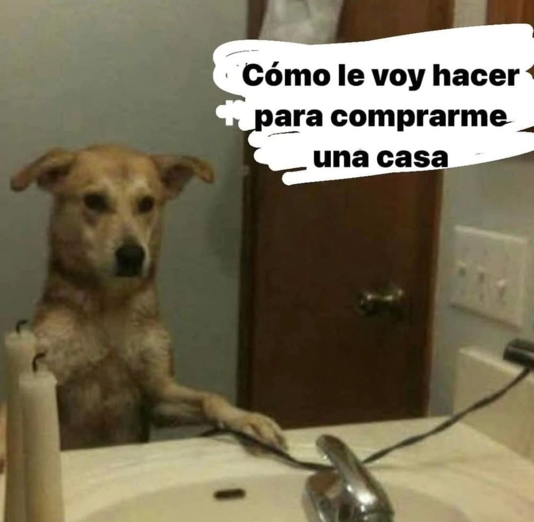 memefeos's tweet photo. https://t.co/qGmzoBvame