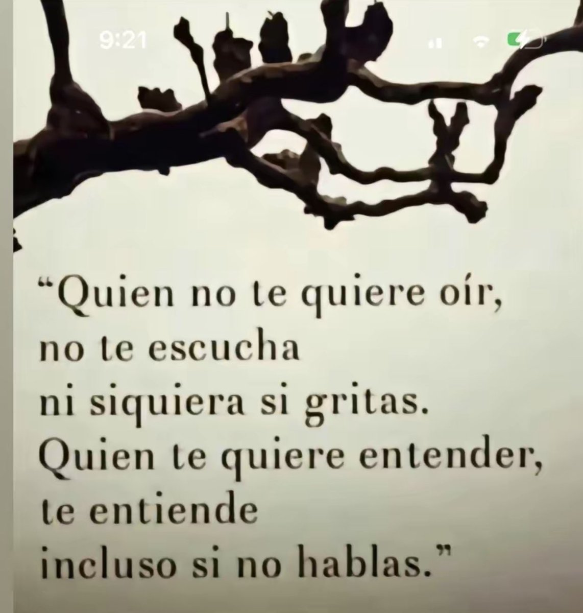 CARPE DIEM (@carpe_d1em11) on Twitter photo 