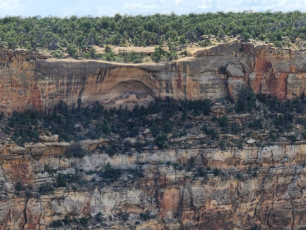 luckster136 (@luckster136) on Twitter photo 