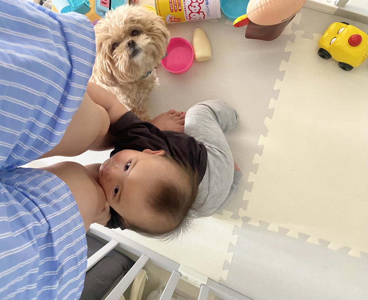 comani_rita's tweet photo. くっつき虫2人がくっつきあっていました👶🏻🧸💗保育園からギャン泣きで帰ってきた坊ちゃんを心配してすぐ駆け寄ってたお姉ちゃん。弟心配しててすごいかわいかた😢優しいお姉ちゃんがいてしあわせだね！！昨夜はごはん中グズグズでずっとママにくっついてた坊ちゃんでした。ばく https://t.co/2J22rU9CzJ