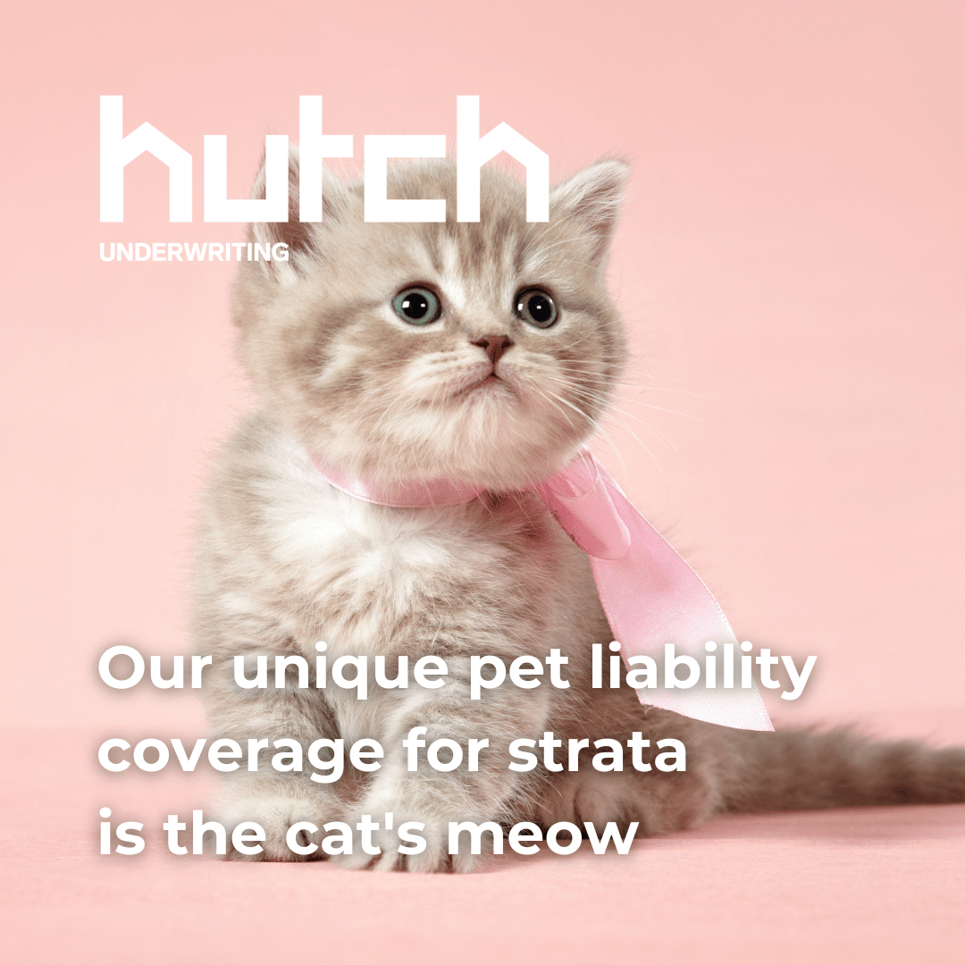 HutchUW's tweet image. Happy #InternationalCatDay ! #OwnersCorporations r paws-itively impressed with Hutch's #StrataInsurance product. Our unique pet liability coverage is the purr-fect solution 4 any #strata with furry residents. Purr over all the details at: bit.ly/47gUShX
#InsuranceBroker