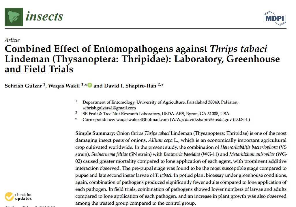 Insects_MDPI's tweet photo. #insects #highlycitedpaper 
📚Combined Effect of #Entomopathogens against #Thrips tabaci Lindeman (#Thysanoptera: #Thripidae): Laboratory, Greenhouse and Field Trials
👥By Sehrish Gulzar et al.

📷https://t.co/6vaQ08oxAH
#pest #biologicalcontrol https://t.co/a3JUpdPGQN