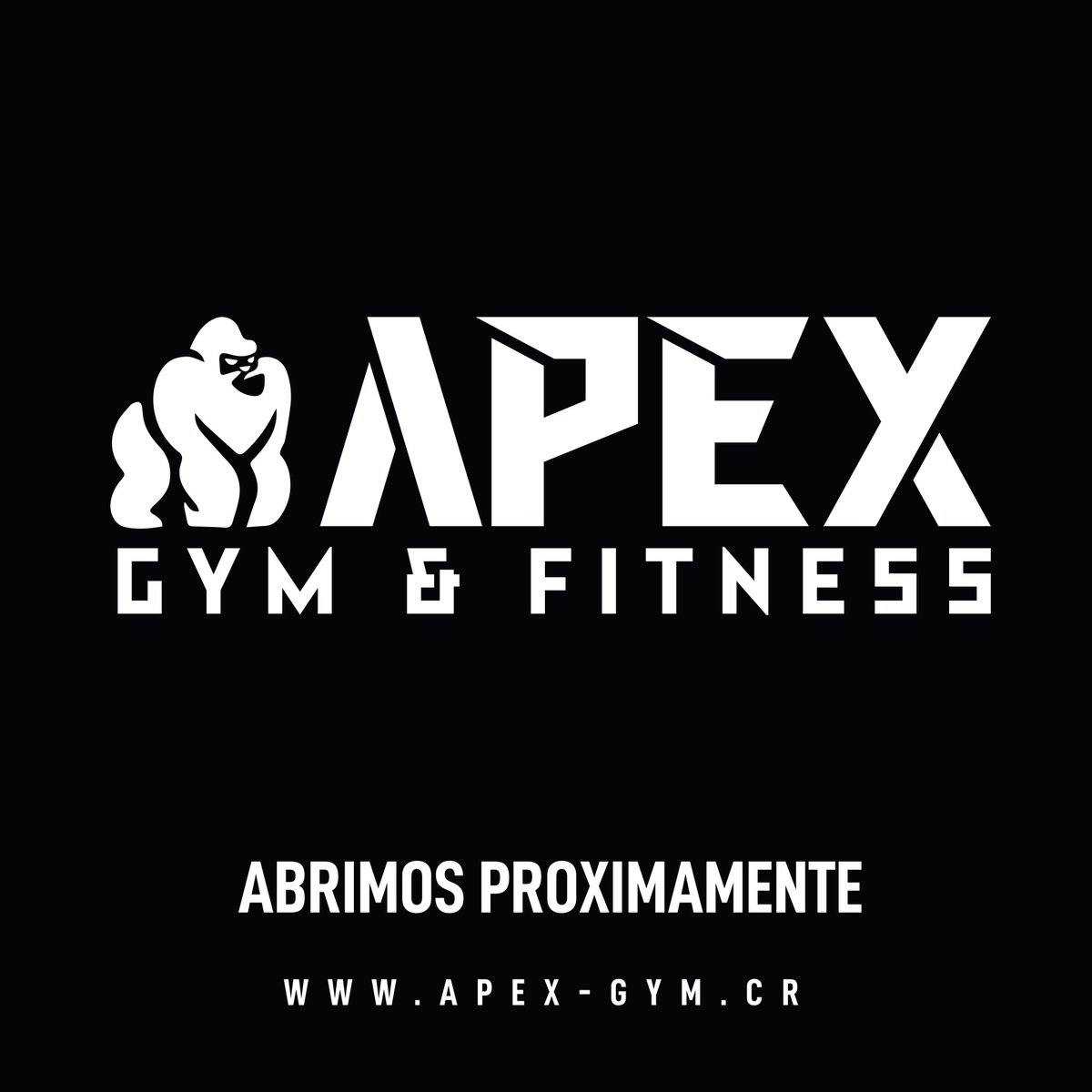 Vengo a pedirles apoyo con mi nuevo proyecto, les agradecería el compartir la publicación en ig, aquí conocen mi lado más abierto y quería decirles que los quiero:3

ig: apexgym.cr