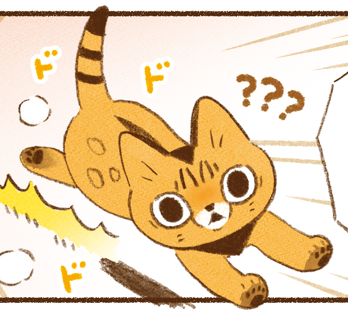 猫エッセイ 本日19:00頃に更新予定です🐱