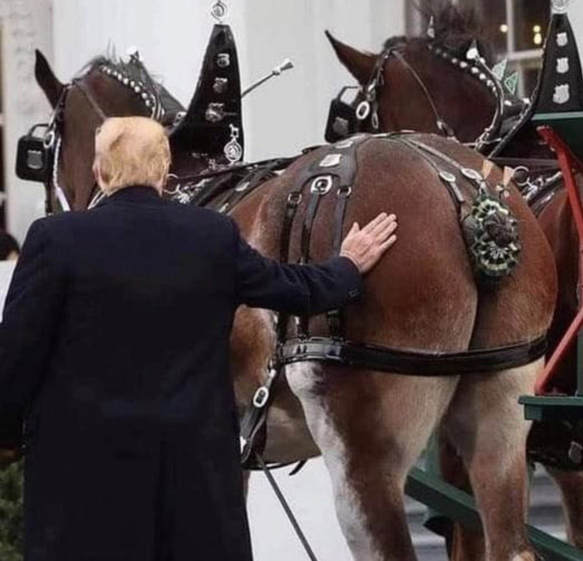 CALL TO ACTIVISM tweet media