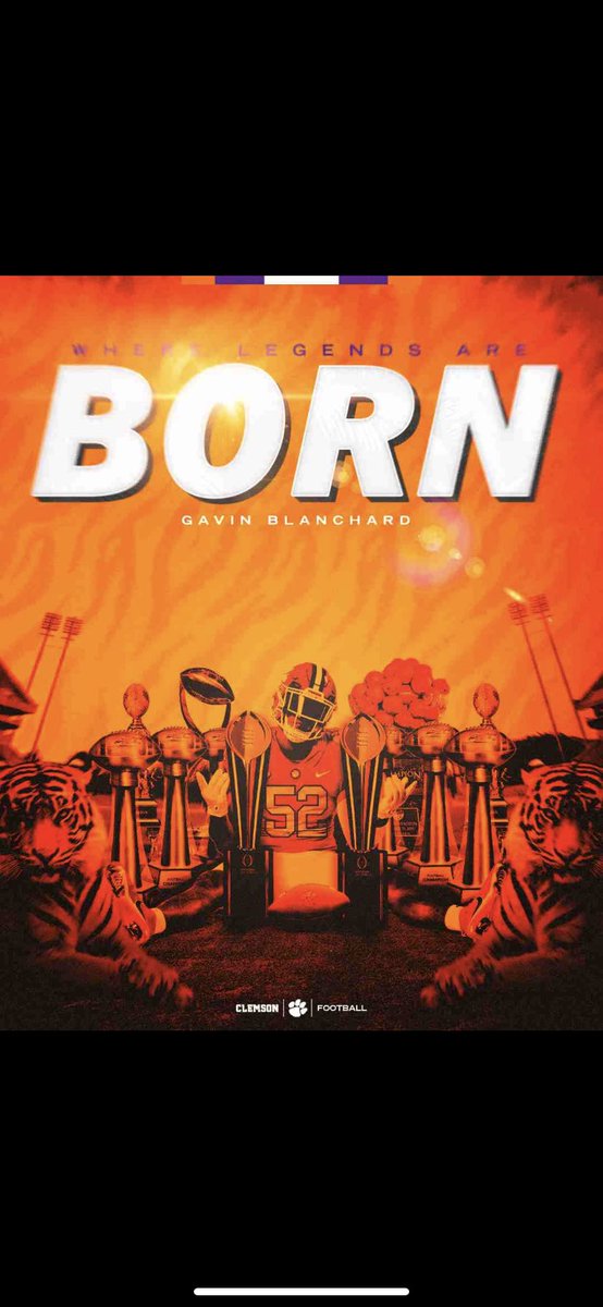 Gavin Blanchard5️⃣1️⃣ tweet media