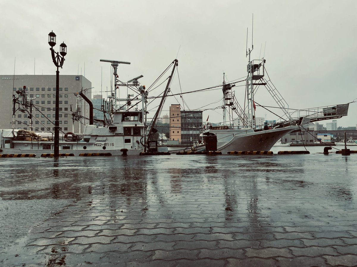 ehab_kushiro's tweet image. 今朝出勤する時の気温は16度でした☔️☁️

肌寒くて長袖でアウター着て
仕事に来ました😉💦
一気に #秋の気配　感じました🍃

皆様寒暖差で風邪を引かぬよう
気をつけてお過ごしください〜！！

#kway のレインウェア
大人気過ぎて
残りわずかです🥺☔️🙏

#釧路
#避暑地
#レインウェア