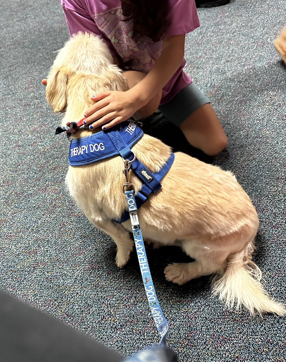 Angel Paws CFBC tweet media