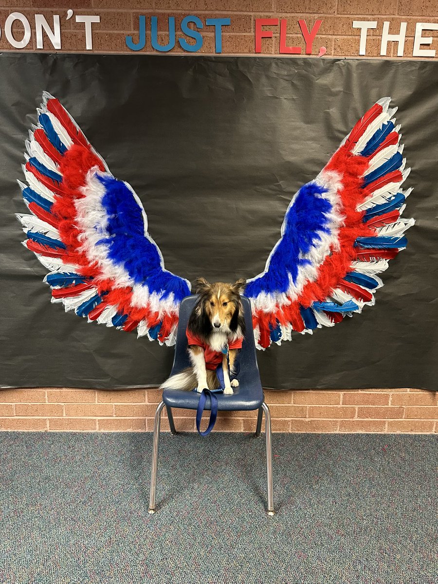 Angel Paws CFBC tweet media