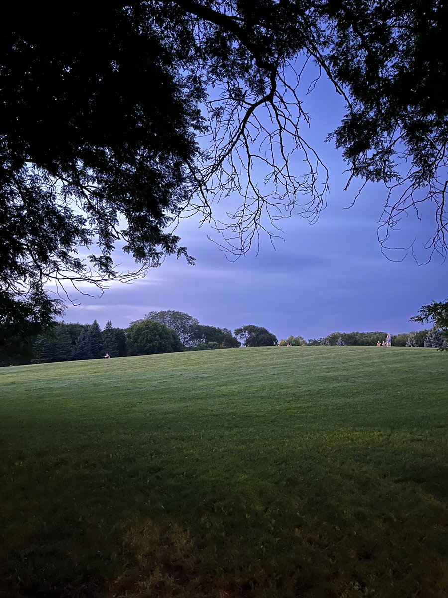 Tarkovski bak işine