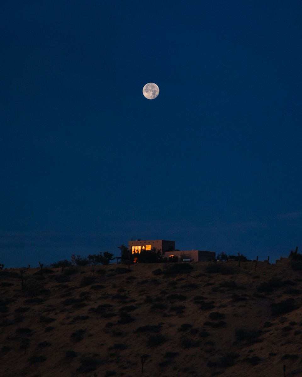 pictures's tweet image. 