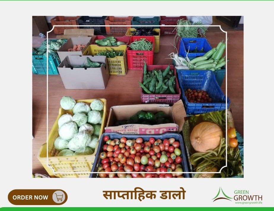 KARESAorg's tweet photo. तरकारी पारि को होइन वारीको
वारिको मात्र होइन नजिक को
हाम्रो तरकारी पातलेगाउँ को
अडर आज मङ्गलबार दिउँसो १२ बजे भित्र गर्नुहोस है
https://t.co/Hn6wk4rQ5k
#GreenGrowth #WeeklyBasket #Vegetables #Fruits #Nepal #साप्ताहि_डालो https://t.co/Q20XXoxdqQ