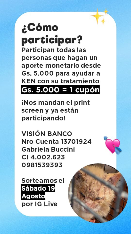 gabibuccini's tweet photo. Buenas noches amigos de tw! Les comparto un videito de Ken del dia de hoy, está mejorando de a poco ❤️ gracias por ayudarme a compartir los flyers y no soltar su patita con la rifa que estoy organizando 🙏🏼❤️ @koalandeMichi @jaguacorbata @jazgaleanopy @MarcoHuellasPy @galletita https://t.co/SHi5bs4Oue