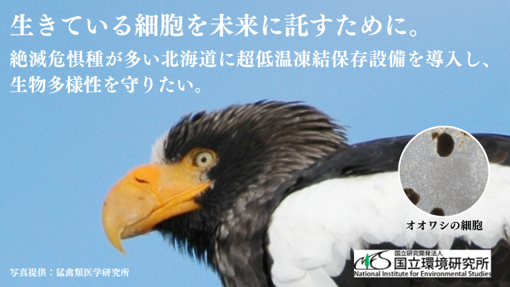 国立環境研究所 tweet media