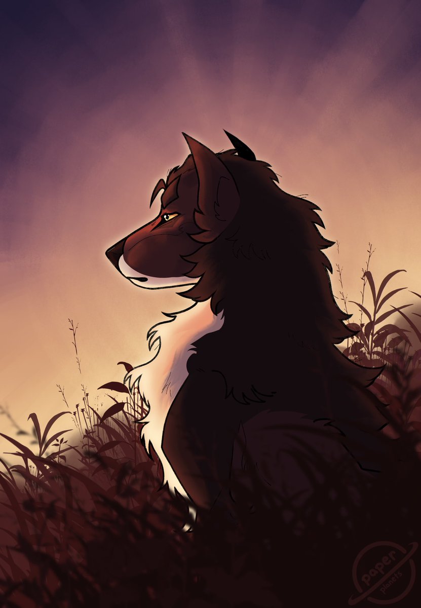 paper_planetss's tweet photo. #wolfartist #procreate https://t.co/W9WJpddIIM