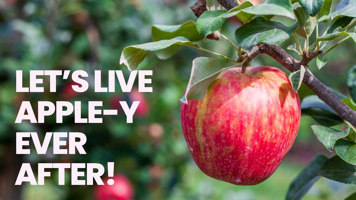 WATreeFruit's tweet photo. Washington apple season is almost here!  You can expect to see this year's crop return with abundance and flavor. So make sure and visit your favorite grocer for the fresh and crunchy goodness! #WashingtonApples #WashingtonApple #Apples https://t.co/JeGXYv83lB