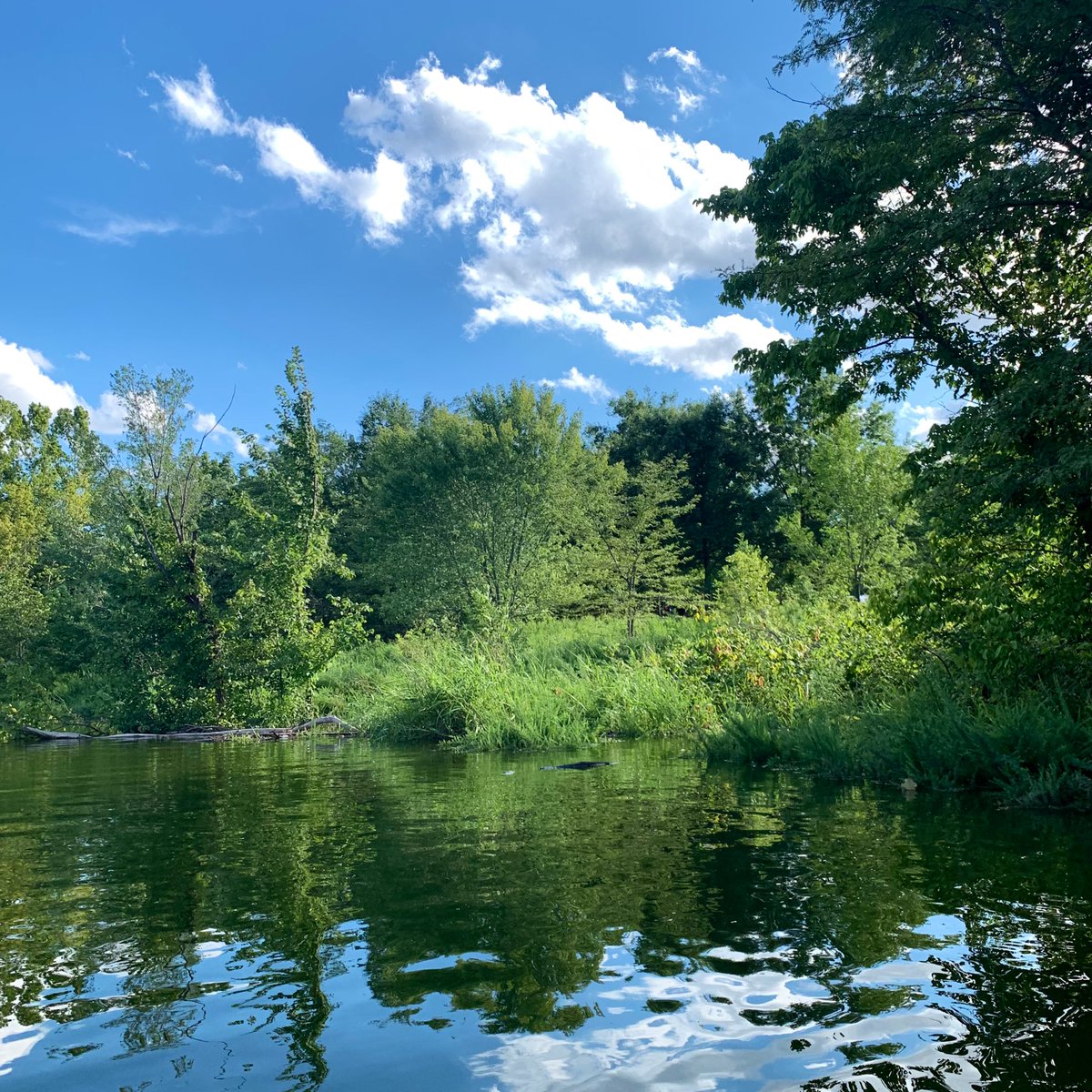1) Still cranky I don’t have the bird and crummy X instead. 

2) My gal pals are the coolest. 

   “I ran the wood chipper      
    all day today.” 
    -Y, forestologist 

3) Kayaked yesterday. ❤️