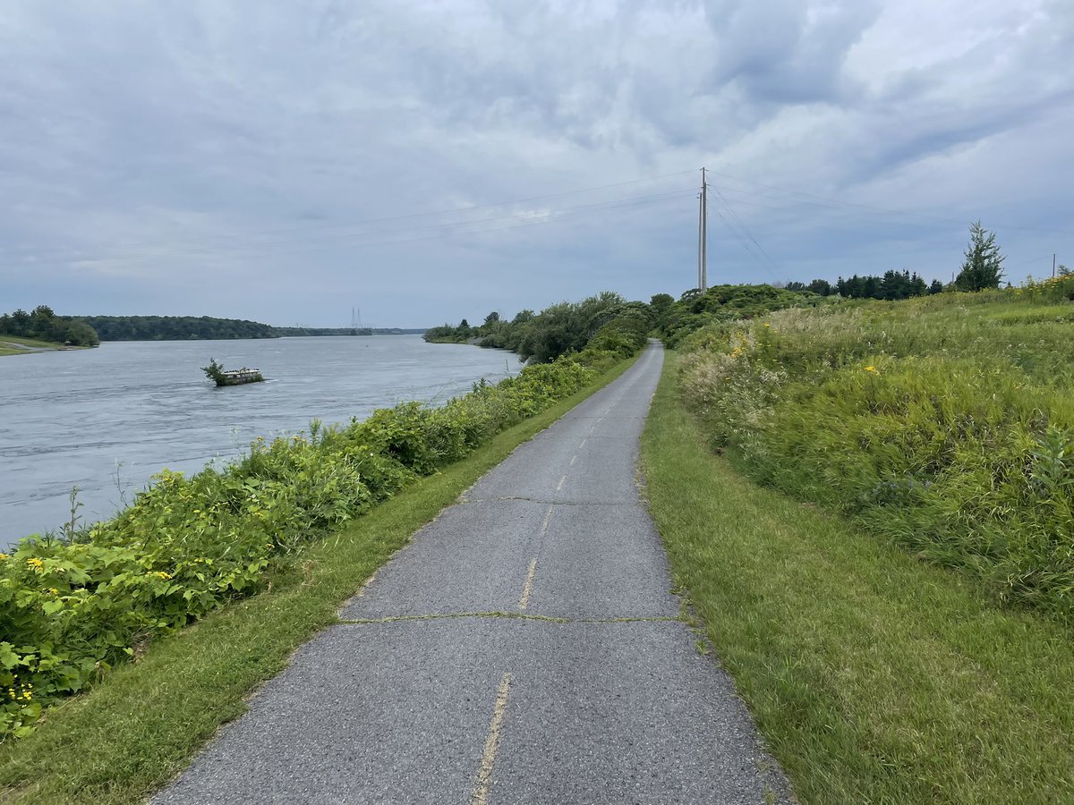 Jonathan Malloy tweet media