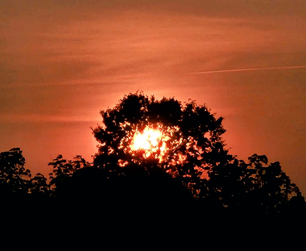 A farewell to the day, in burnished persimmon.