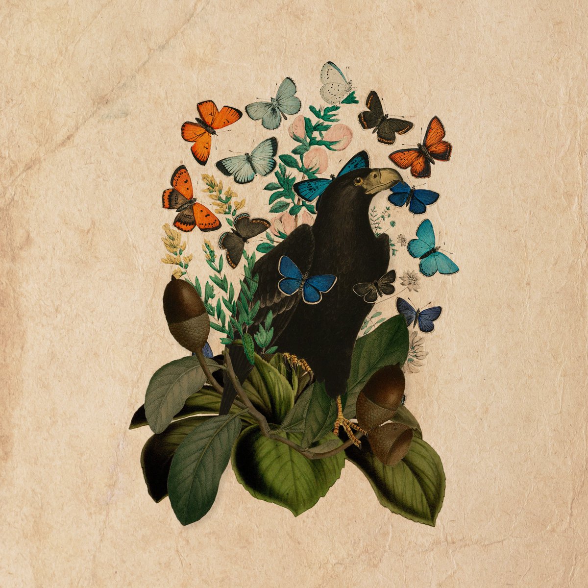 (ischus)

(sophia)

(eleutheria)

The eagle is a powerful creature that can teach us a lot about life. Let us learn from the eagle and become stronger, wiser, freer, and more successful individuals.

More story below 🔻