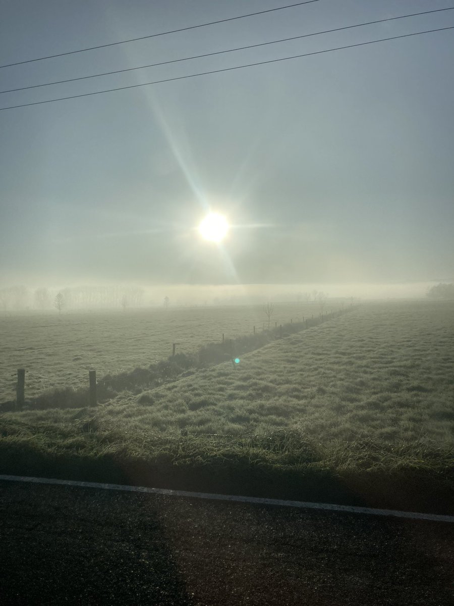 Top 50% farmer tweet media