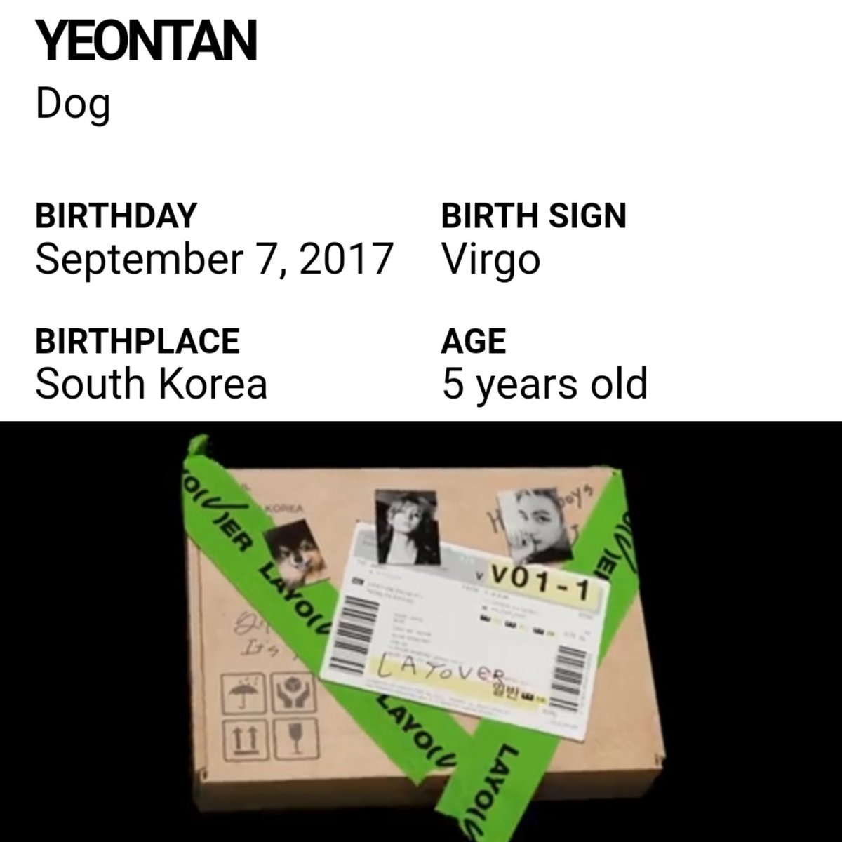 UniversBTS_'s tweet photo. 📸 Taehyung lançando seu primeiro álbum solo no aniversário do Yeontan, o doguinho  como capa de seu álbum digital, o álbum contendo photocard do Yeontan e tendo ele nas filmagens e MVs…

Ele é tão pai de PET! 😭🫂

#V_Layover 
TAEHYUNG IS COMING
V IS COMING
LAYOVER IS COMING https://t.co/fykMS7YEag