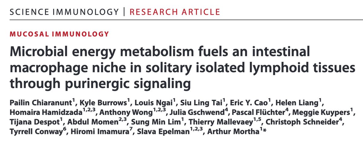 Arthur Mortha tweet media