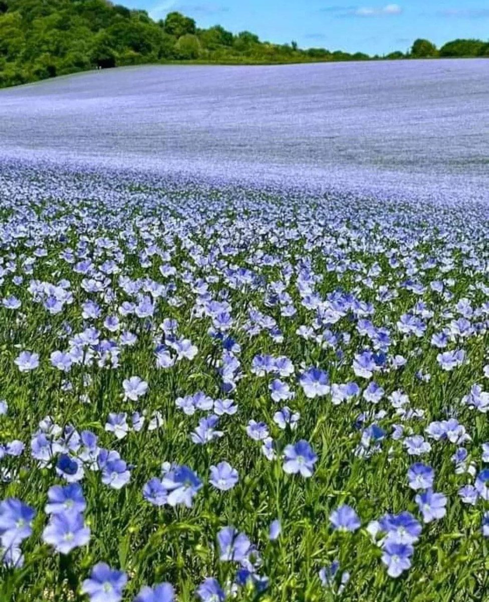 Greg07160 tweet media