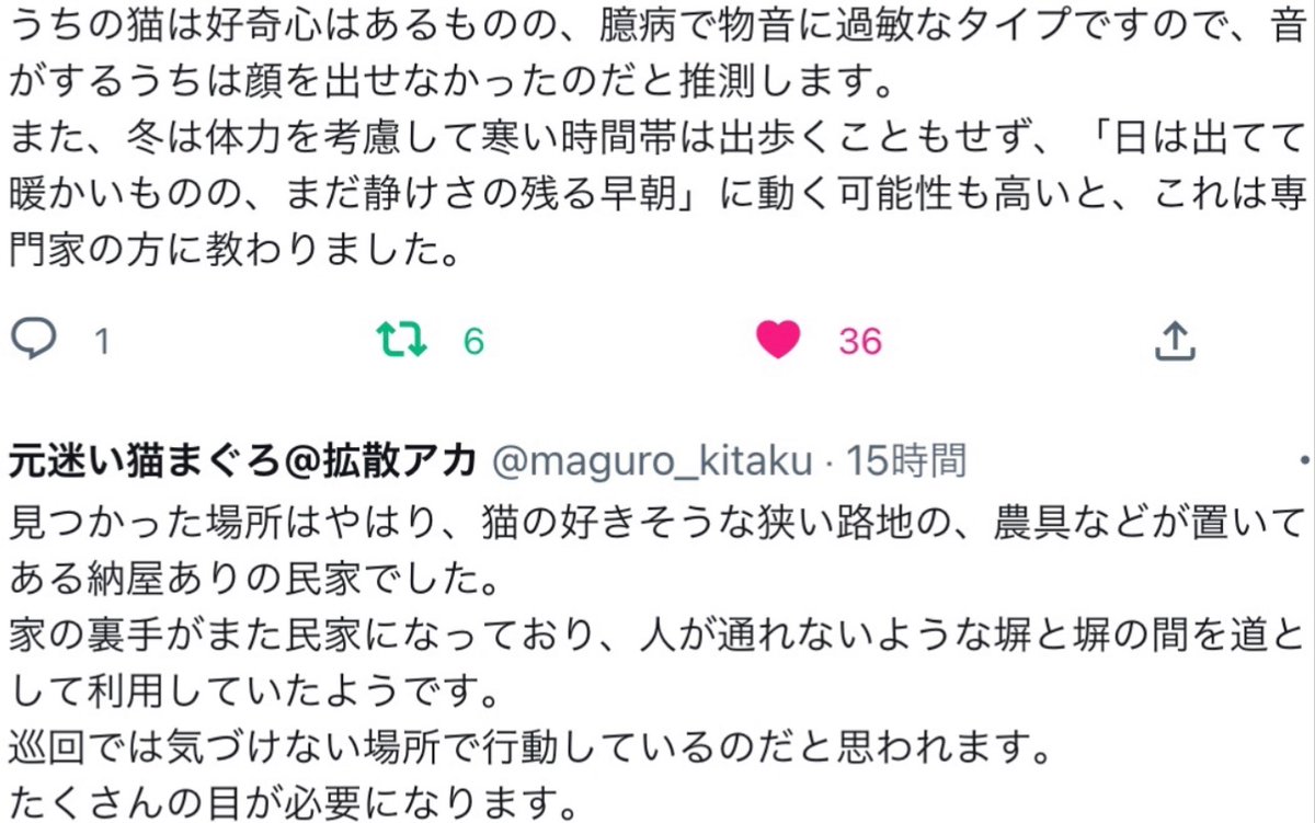 creatureslove1's tweet photo. ⑩↘️ 見つかった子の経緯2つと隠れてた場所の参考写真🍀(承諾を得て掲載)貼らせて頂きます。
※まだ静けさの残る早朝に動く可能性
※外にいる間に猫相が変わるので同一猫と思わない事もある
※出てこなくても名前を呼べば聞こえてるので何度も同じ場所を諦めず探す(叫ばずいつものトーンで)
↙️続 https://t.co/0Hw7dagN7Q