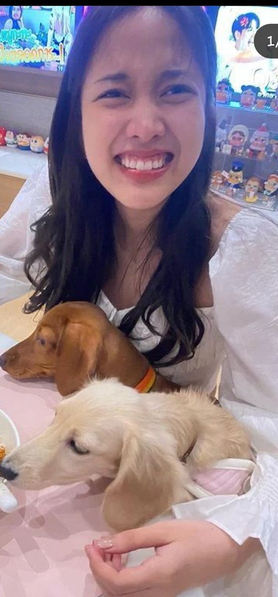 katherinefabi's tweet photo. Me enamoré de su sonrisa y nose si ella lo sabe... Sonríe siempre ❤️🎂🐰HAPPY BIRTHDAY FREEN @srchafreen 
#25thShiningFreenDay https://t.co/DT4GR2oA7v