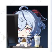 I stretched the truth a little.