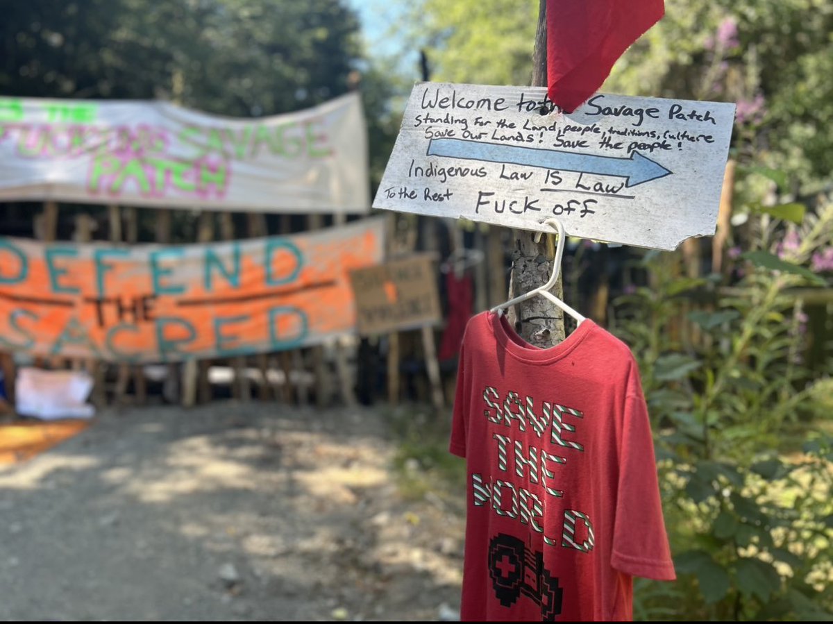 No police went to the Savage Patch resistance camp today in the Fairy Creek Watershed where land defenders are blockading a road where Teal Jones company is planning to log old growth. Land defenders are building infrastructure, training on the land, preparing for an imminent