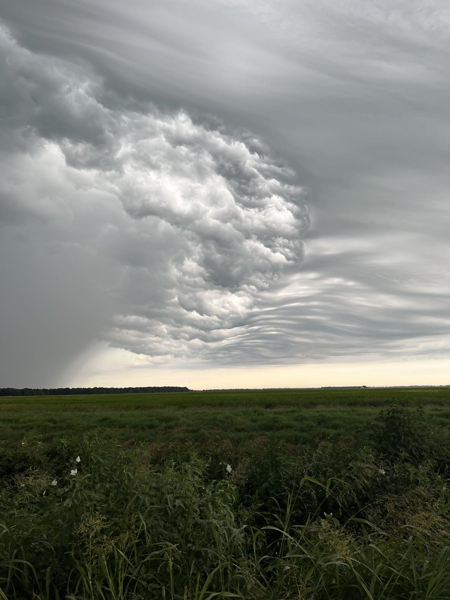 proagservices's tweet photo. @SMatthewsfarms Took a similar pic this morning. Pretty cool. https://t.co/pPT1VCd4m8