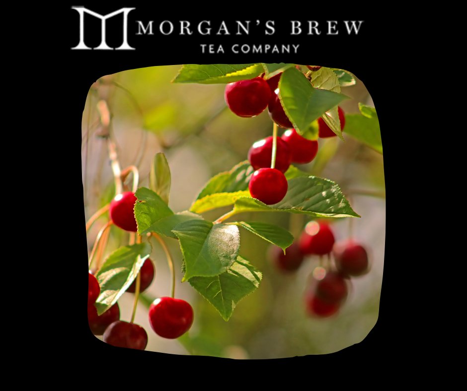 Tea of The Week - Oriental Cherry Green Tea This traditional green tea features a delicate sweet grassy flavour with a hint of morello cherry that gives you the sweet sensation of the awakening of spring. morgansbrewtea.co.uk/product/japane… #tea #buytea #tealovers #drinktea #morganstea