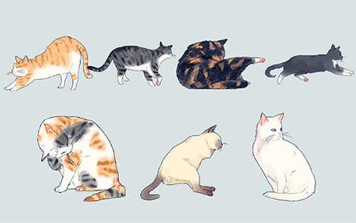 bottari_asset's tweet photo. 🐱세계 고양이의 날 (International Cat Day) 기념 킅튜 고양이 소재 타래 
사이버 냥이 데려가세요...🐈‍⬛💕

1. 고양이 브러시
https://t.co/RW4uXFfKlp
2. 3D 고양이
https://t.co/PlkF7JKu4Y
3. 고양이 데코 브러시 
https://t.co/03cvBoZxAL 
4. 화난 고양이 톤
https://t.co/l7l2pAkJcR https://t.co/vHRgjouEWz