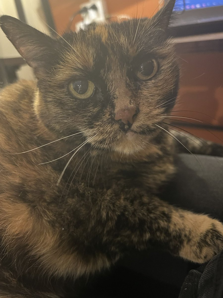 Ella es mi Mogwai 🥰