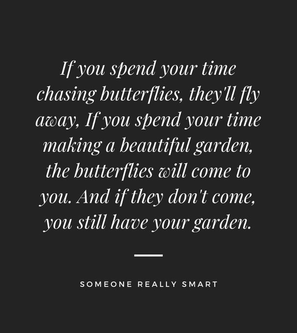 I like butterflies 🦋  I am not owed butterflies. But I do like them ✨ https://t.co/mCrfYlvSvz<a href="/tag/newsletter"class="tags"><span>#newsletter</span></a>