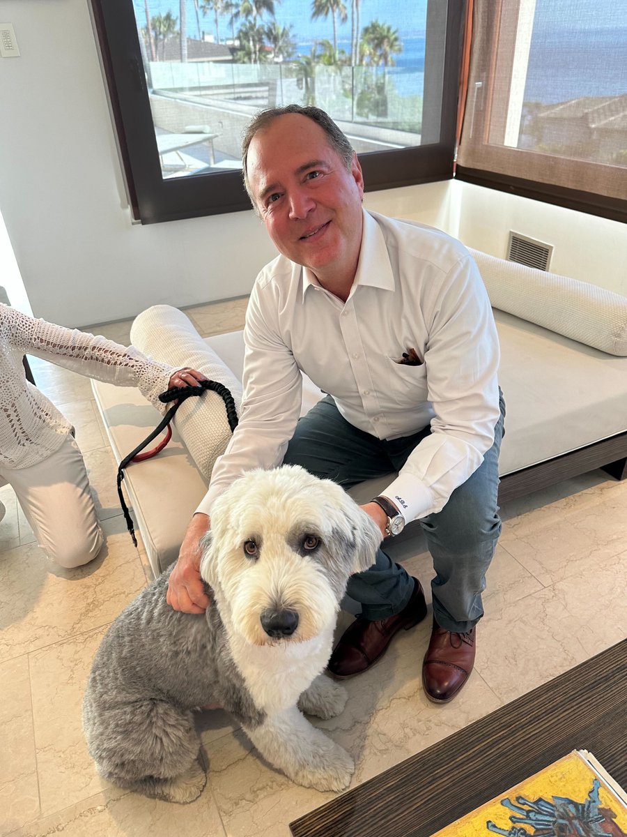 AdamSchiff's tweet photo. Meet Charlie. 100% Old English Sheepdog. Such a sweetheart.

And he is really good at herding 🐑— who knew?! https://t.co/rks6ery2eg