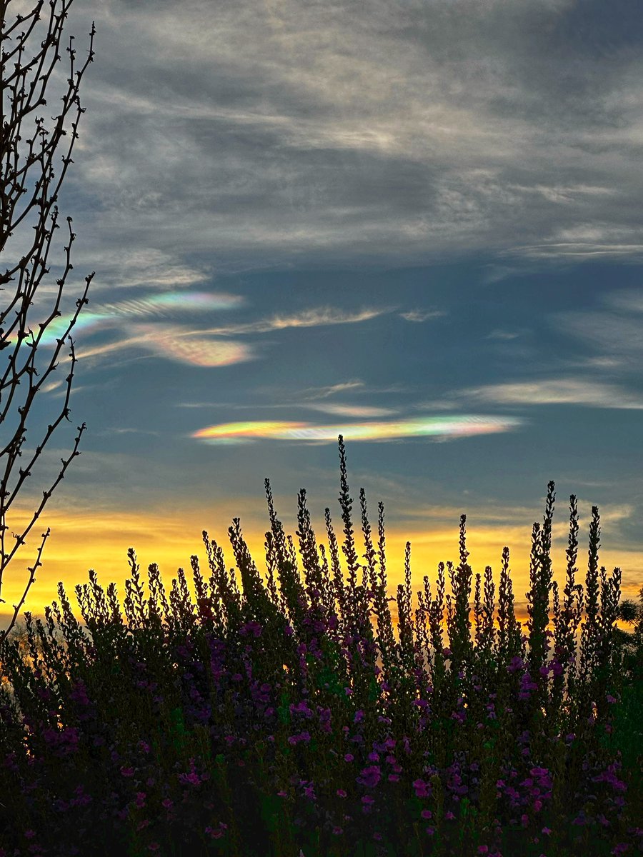 JoyRideMom42's tweet photo. What a beautiful sunset sky we had this afternoon! Not everyday we get to see this kind of rainbow! #azwx  @AZWeatherForce  @NWSPhoenix https://t.co/gqFDySYaHL