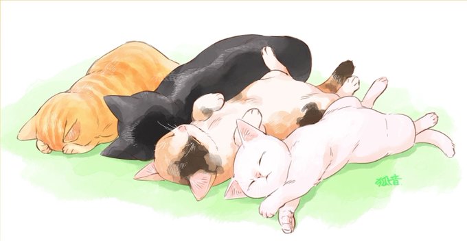 「calico sleeping」 illustration images(Latest)